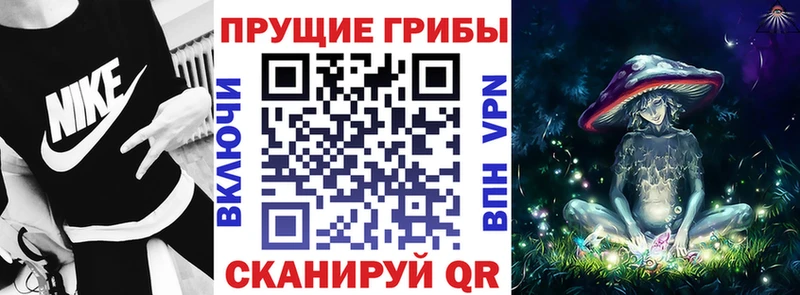 Псилоцибиновые грибы Psilocybine cubensis Лысково